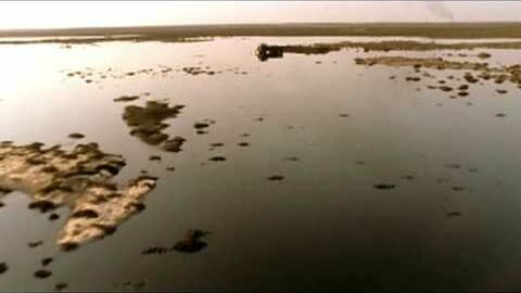 Rhian Sheehan - Standing in Silence (Live Montage 2011)