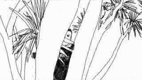 Let Me Count The Ways