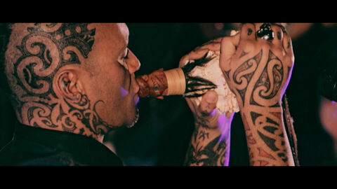 Fly My Pretties - This Life