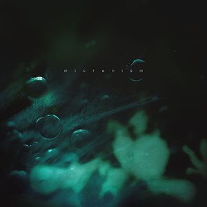 inside a quiet mind (album)
