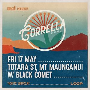 Totara St, Mt Maunganui