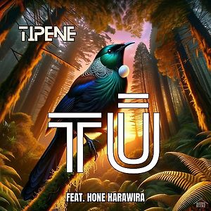 Tū (Feat. Hone Harawira)