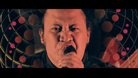 Fly My Pretties - Walking On