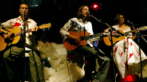 Fly My Pretties - Singing In My Soul