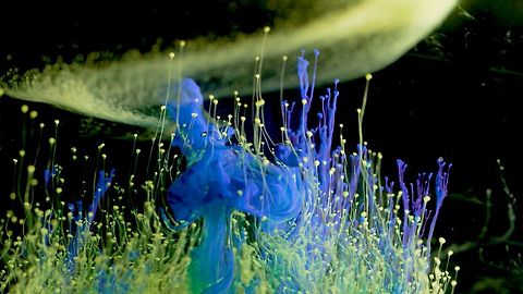 Rhian Sheehan & Arli Liberman - Sentio