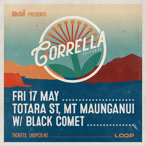 Totara St, Mt Maunganui