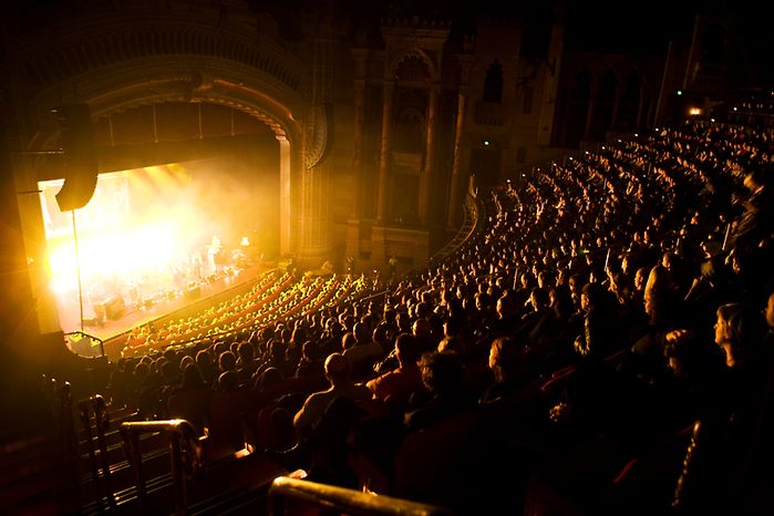 Fly My Pretties — Wrapped For 2009