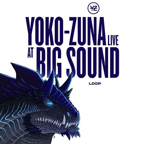 Yoko-Zuna @ Big Sound 2017 - Barbara